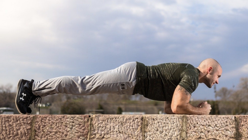 Plank doma