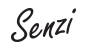  Senzi